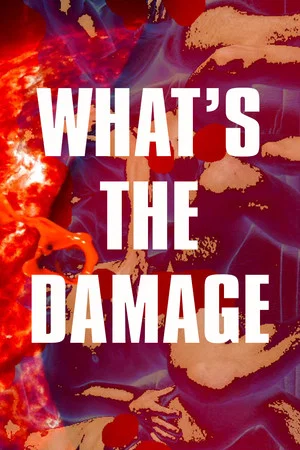 Постер: What's The Damage