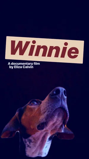 Постер: Winnie