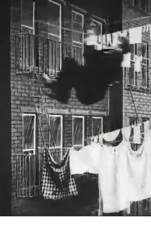 Постер: The Burglar's Slide for Life