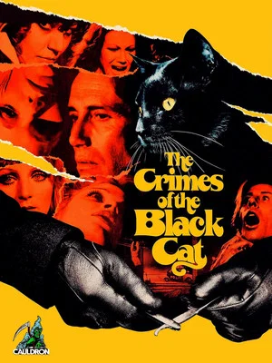 Постер: The Crimes of the Black Cat