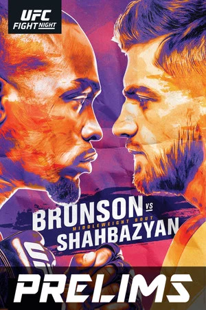 Постер: UFC Fight Night 173: Brunson vs. Shahbazyan