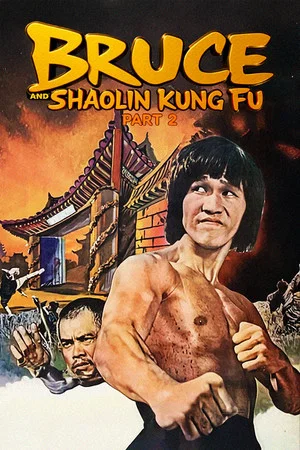 Постер: Bruce and Shaolin Kung Fu Part 2