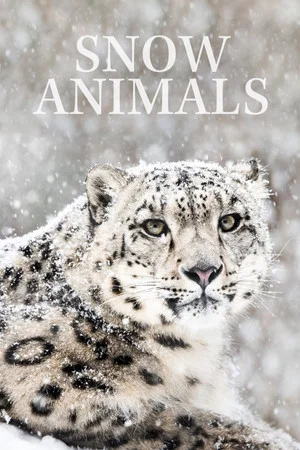 Постер: Snow Animals