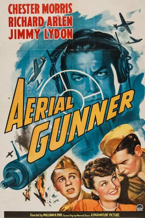 Постер: Aerial Gunner