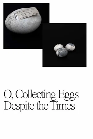 Постер: O, Collecting Eggs Despite the Times