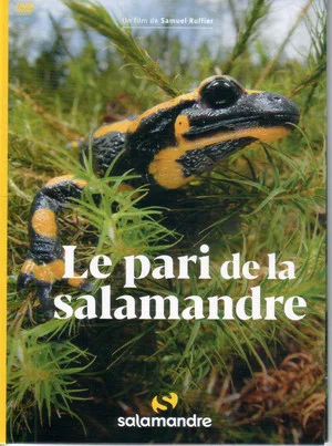Постер: Le Pari De La Salamandre