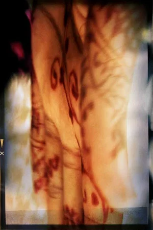 Постер: Henna Splash
