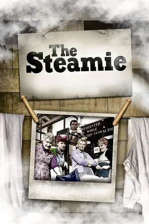 Постер: The Steamie