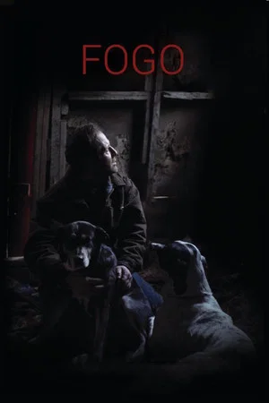 Постер: Fogo