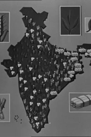 Постер: This Our India