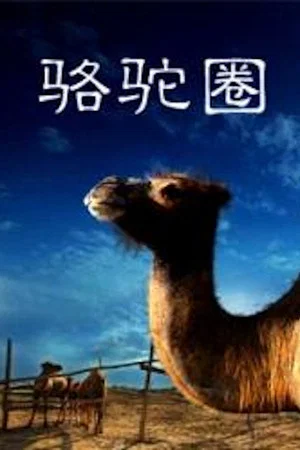 Постер: Camel Collar