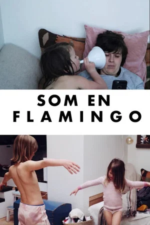 Постер: Som en flamingo