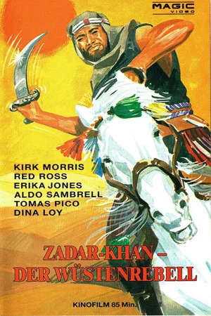 Постер: La magnifica sfida