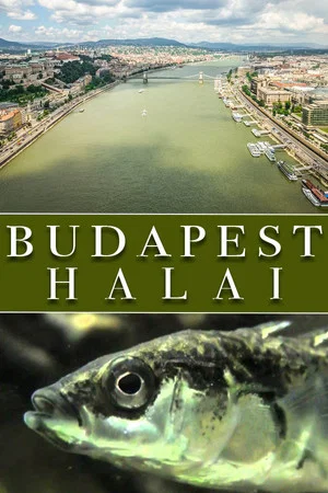 Постер: The Fish of Budapest