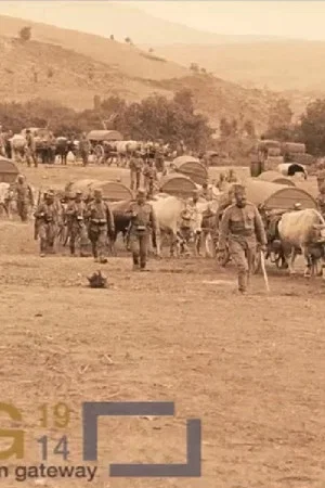 Постер: Ammunition Column of the Danube Division