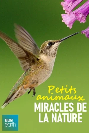 Постер: Petits animaux, miracles de la nature