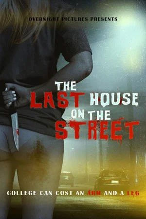 Постер: The Last House on the Street
