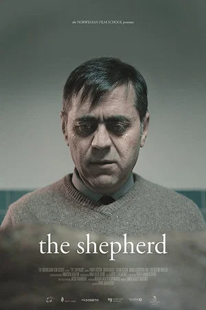 Постер: The Shepherd