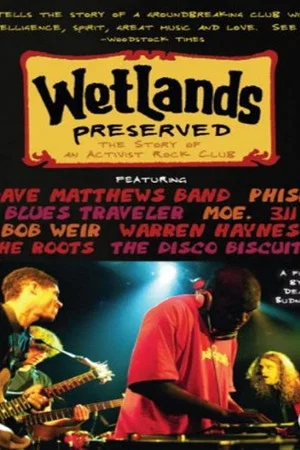 Постер: Wetlands Preserved: The Story of an Activist Nightclub