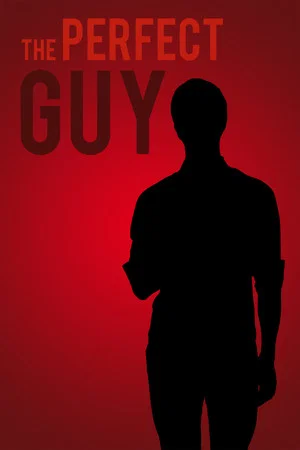 Постер: The Perfect Guy