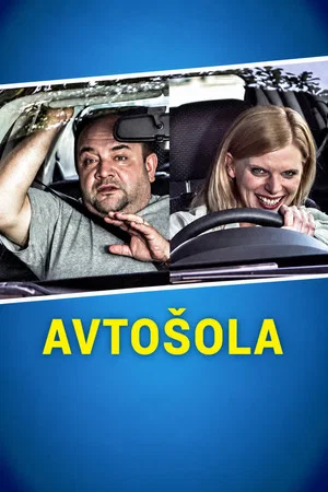 Постер: Driving School
