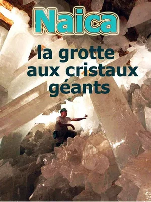 Постер: Naïca: La grotte aux cristaux géants