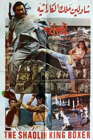 Постер: Iron Fists