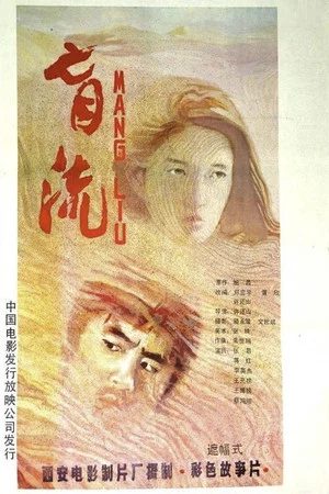 Постер: 盲流