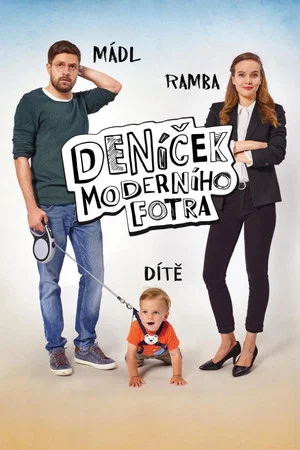Постер: Modern Father's Diary