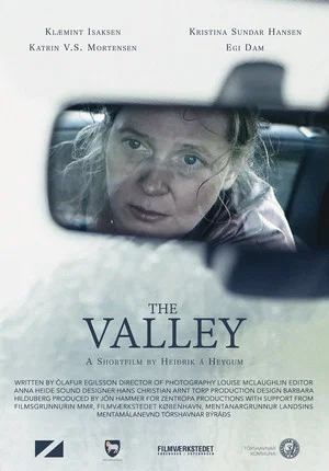 Постер: The Valley