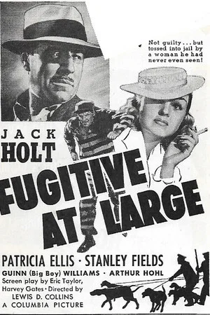 Постер: Fugitive at Large