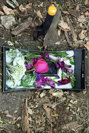 Постер: The Grave