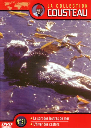 Постер: The Cousteau Collection N°31-1 | The Fate of Sea Otters