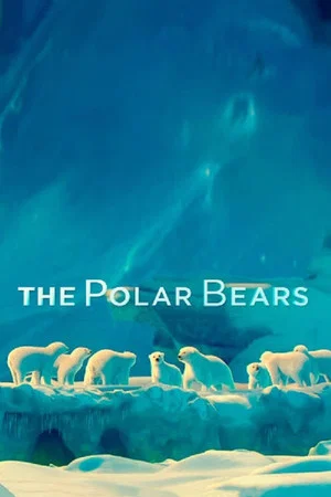 Постер: The Polar Bears