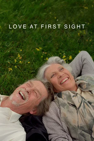 Постер: Love at First Sight