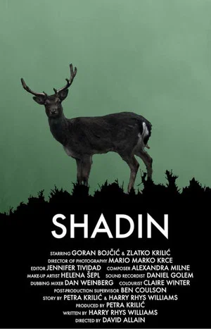 Постер: Shadin