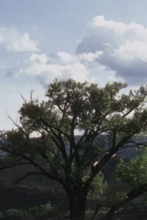 Постер: Carter Jackson's Cottonwood