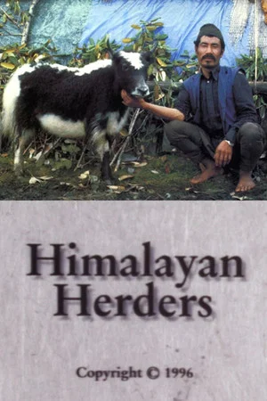 Постер: Himalayan Herders