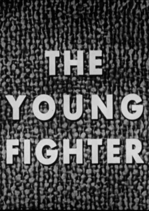 Постер: The Young Fighter