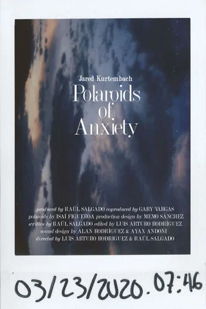 Постер: Polaroids of Anxiety