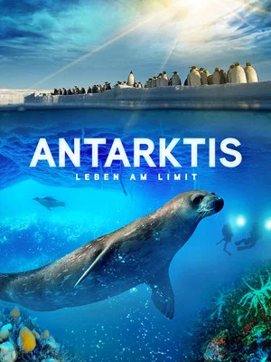 Постер: Антарктика. Живущие на грани