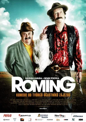 Постер: ROMing
