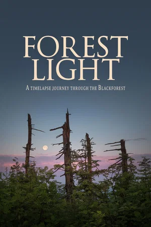 Постер: Forest Light
