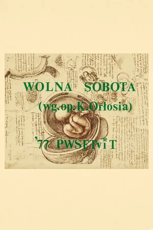 Постер: Free Saturday