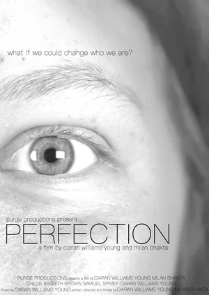 Постер: PERFECTION