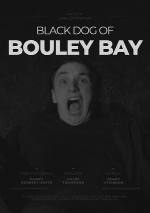 Постер: Black Dog of Bouley Bay