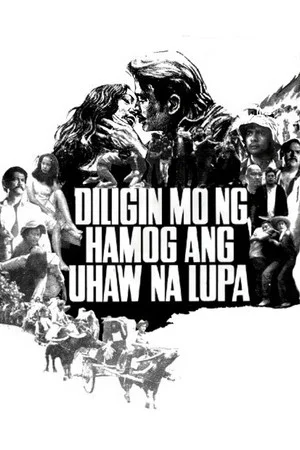 Постер: Diligin mo ng Hamog ang Uhaw na Lupa