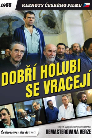 Постер: Dobří holubi se vracejí