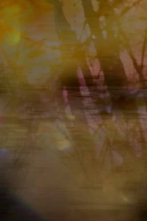 Постер: MAY RENDER