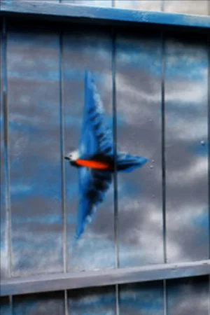 Постер: Spirit of the Bluebird